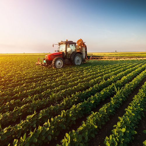 [전국] 2019년 농식품연구성과후속지원사업 국가연구개발성과 후속지원과제 시행계획 공고