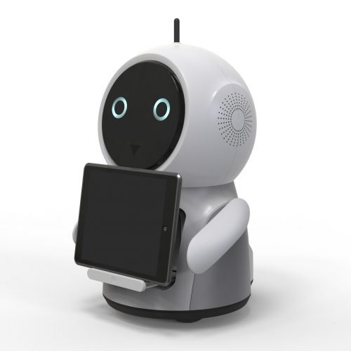 PLEDO-Educational robot design