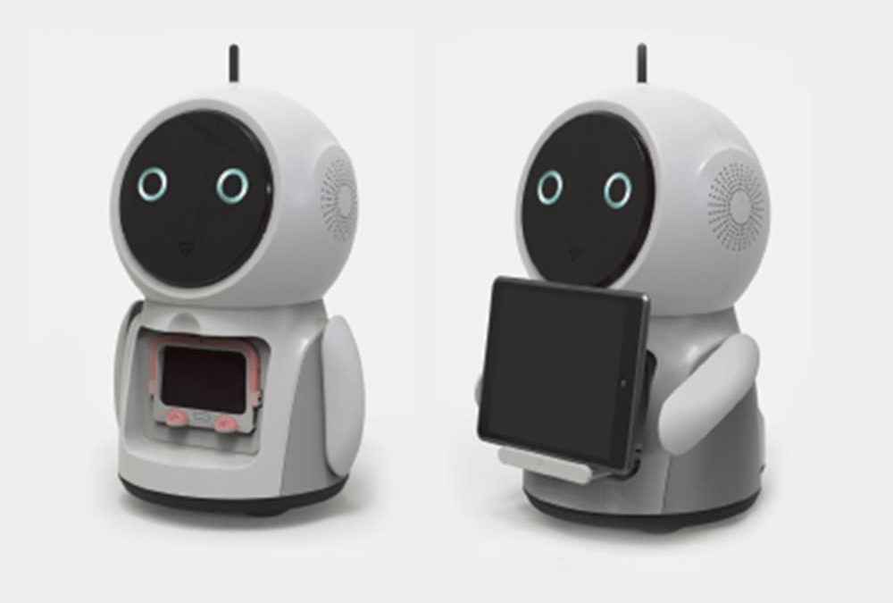 PLEDO-Educational robot design