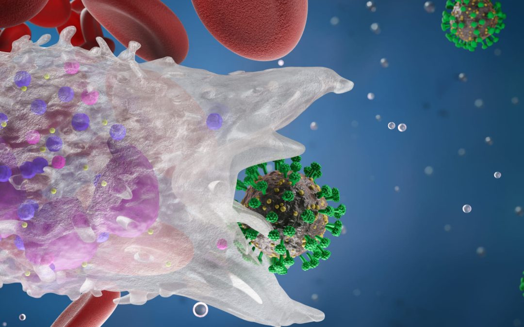 STR바이오텍 반응형 웹사이트