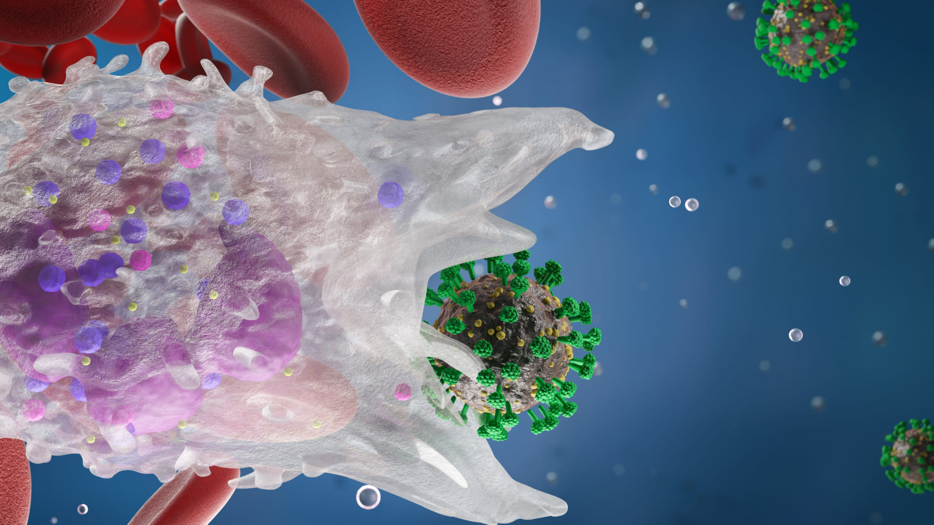 STR바이오텍 반응형 웹사이트