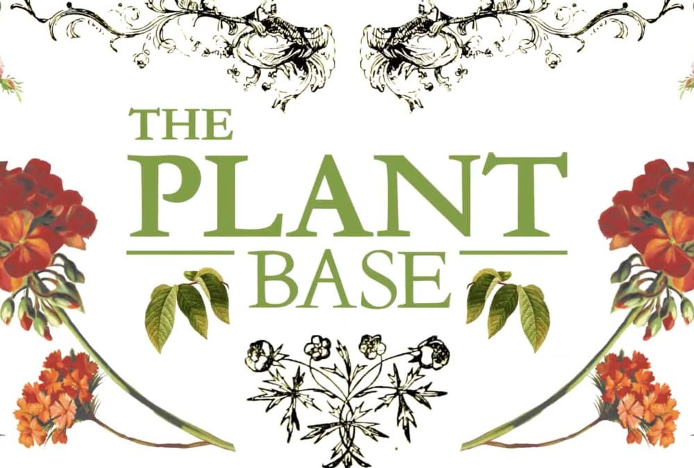 THE PLANT BASE