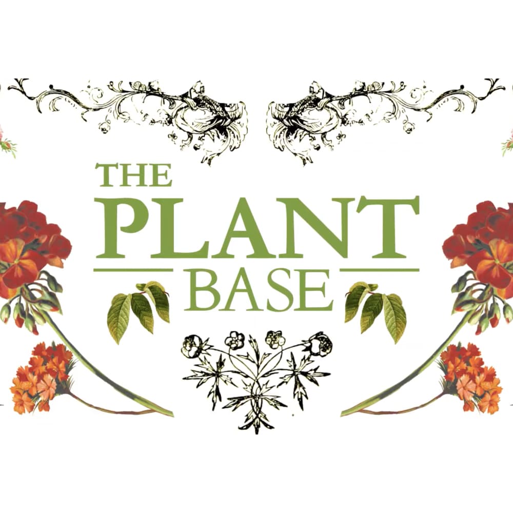 THE PLANT BASE