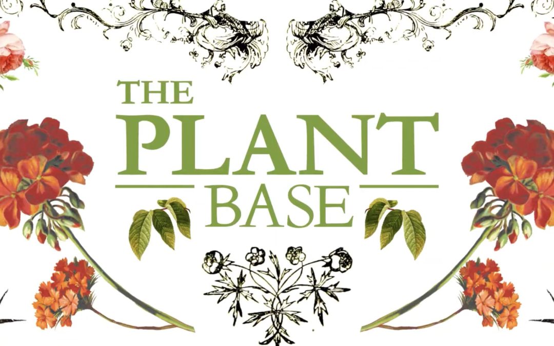 THE PLANT BASE