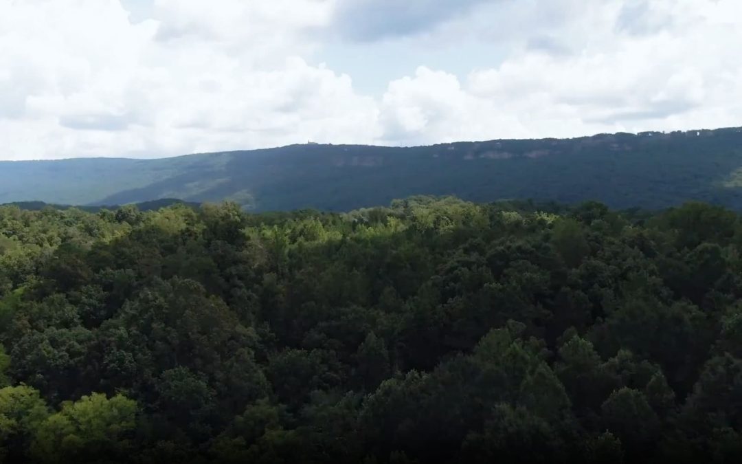 FMS신트로밸리 반응형 웹사이트