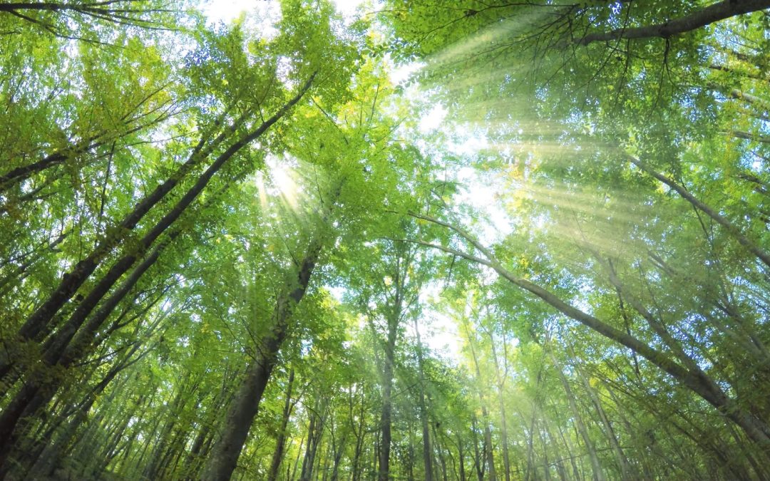 한얼환경산업 반응형 웹사이트