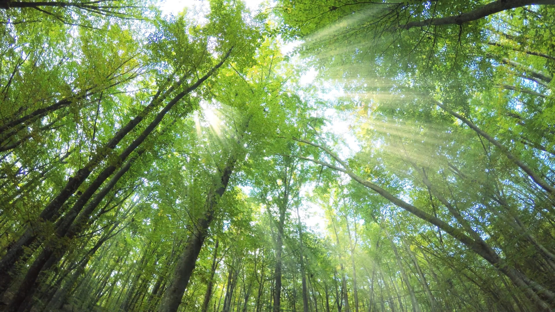 한얼환경산업 반응형 웹사이트