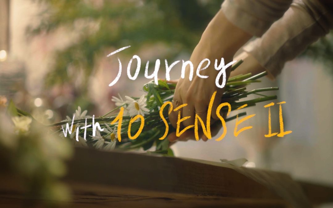 TREND’I 10 sense ver.2