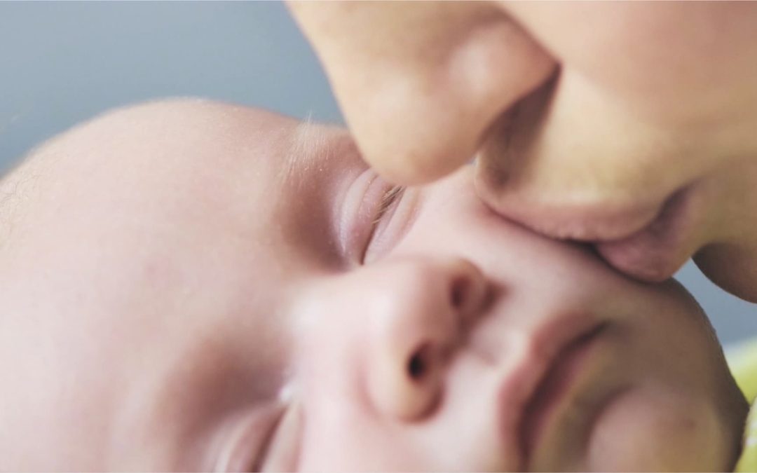 JW 중외제약 New infant incubator