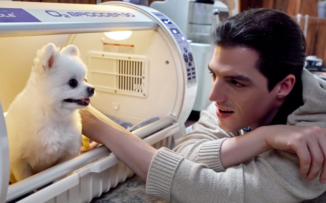 오토일렉스 사진촬영