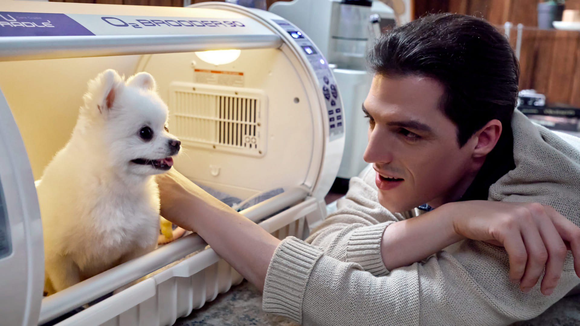 오토일렉스 사진촬영