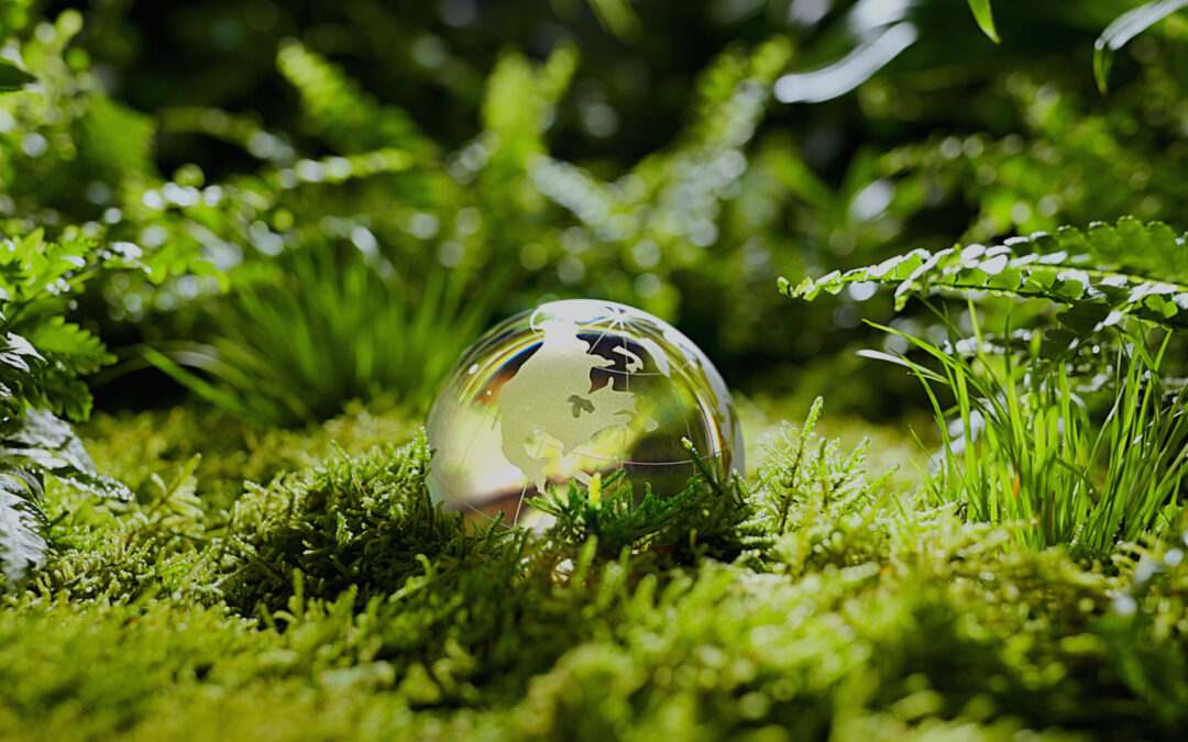 지클로 반응형 웹사이트