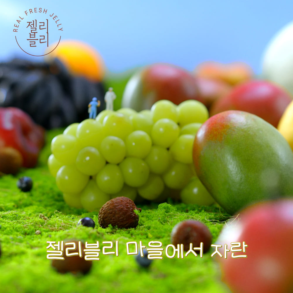 젤리블리-국문