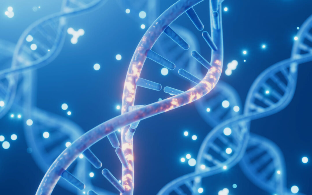 필코코스팜 반응형 웹사이트