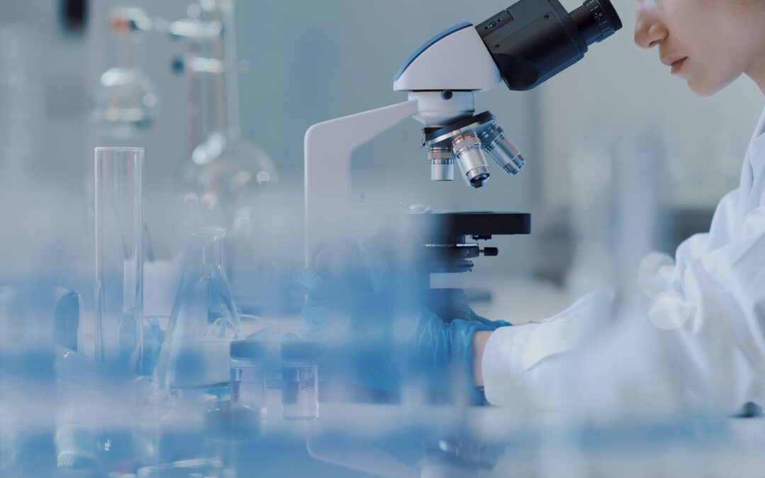 라다하임 반응형 웹사이트