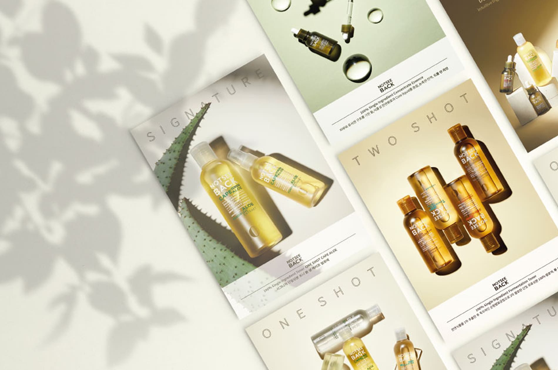 코씨드바이오팜 제품 소개 양면 카드 디자인