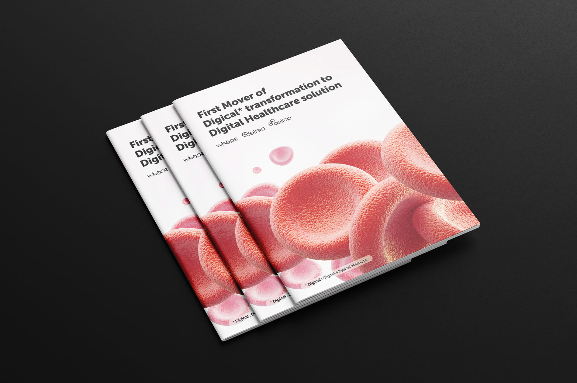 스몰머신즈 카탈로그 디자인