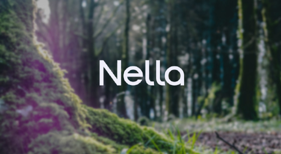 Nella AI SEO