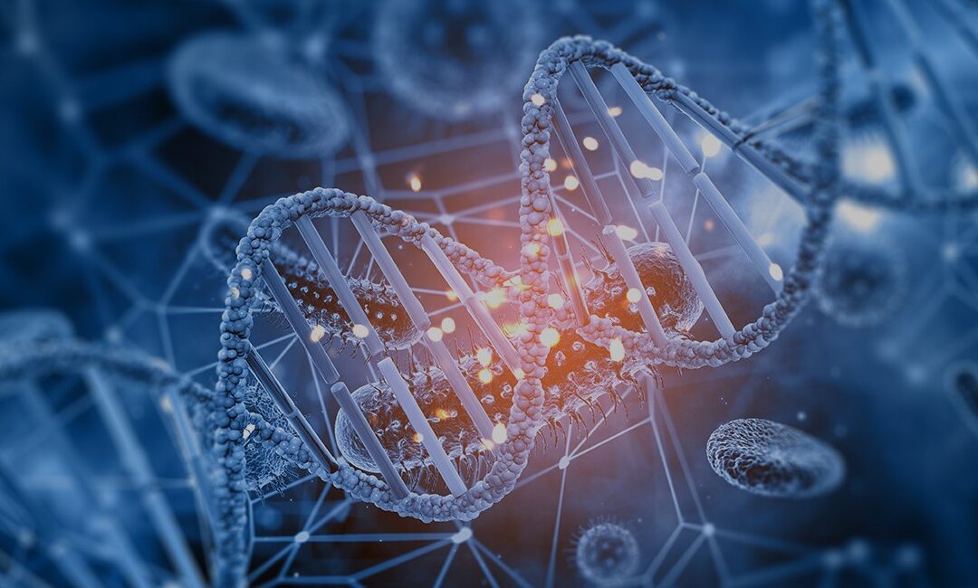 PaxGenBio AI SEO